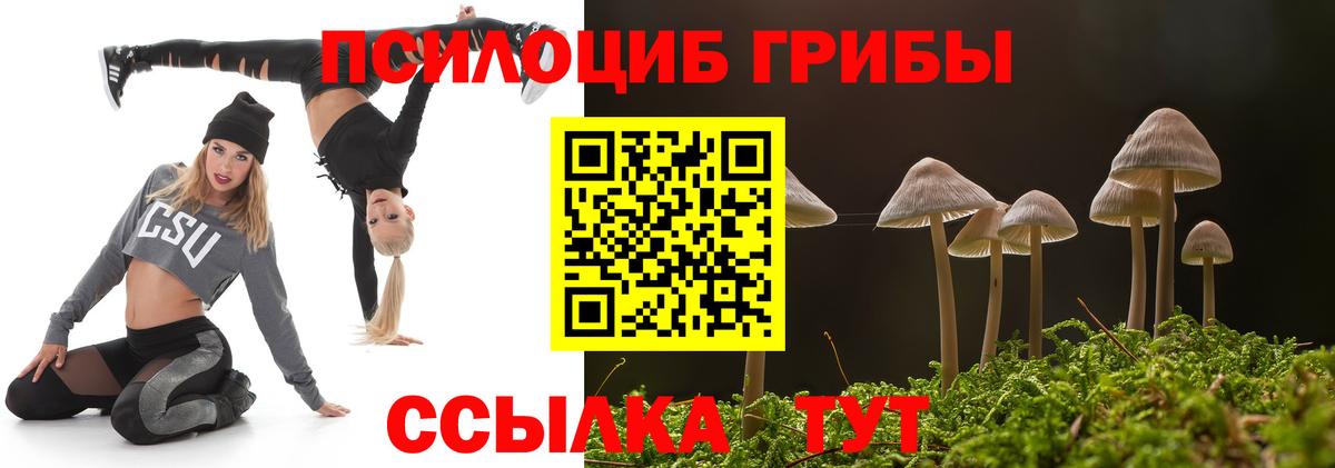 Псилоцибиновые грибы Psilocybine cubensis Александров