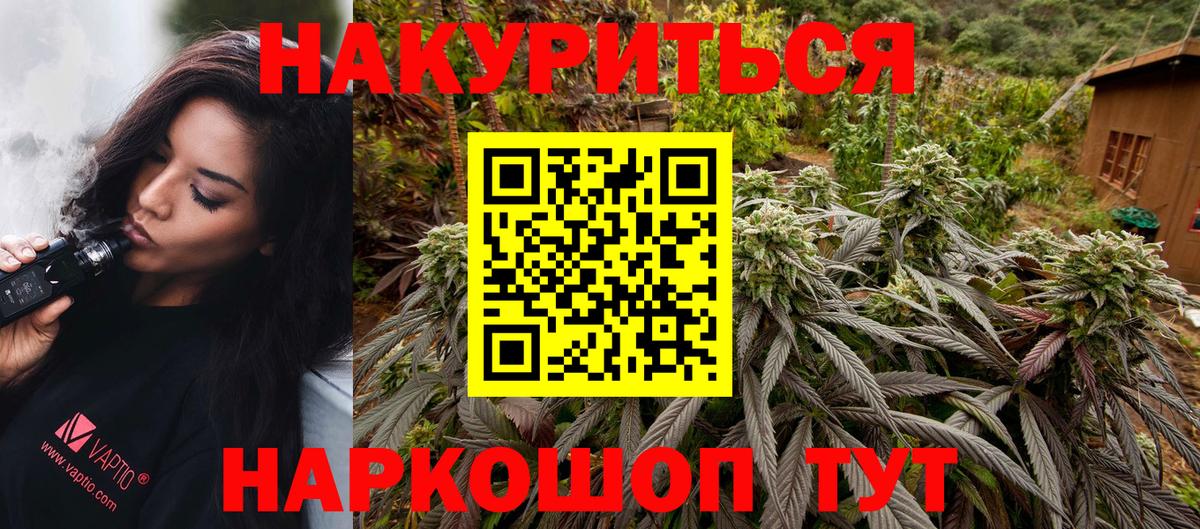 Бошки Шишки план Александров